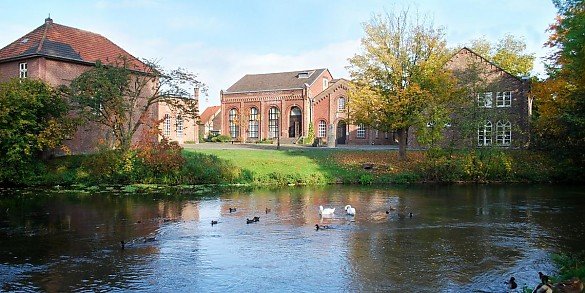 Welcher Immobilienmakler ist der beste in Grevenbroich 2025? 