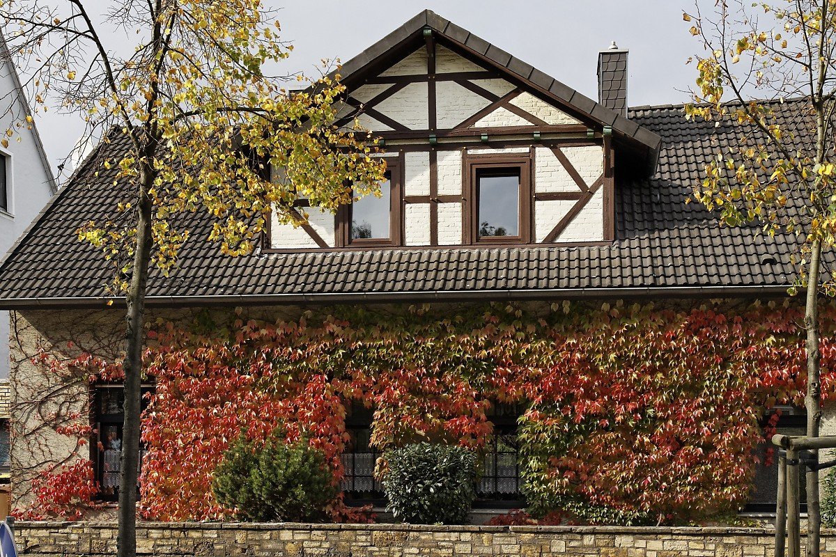 Immobilienmakler Elfgen