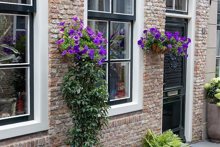 Immobilien in Niederlande