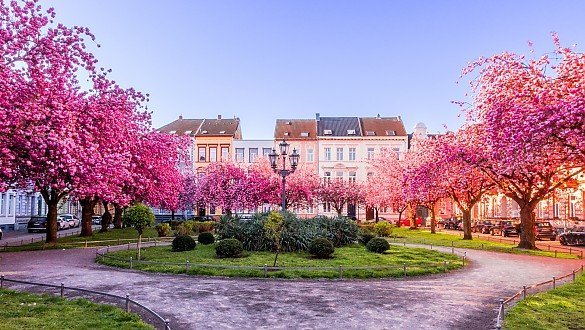 Immobilienmakler Krefeld