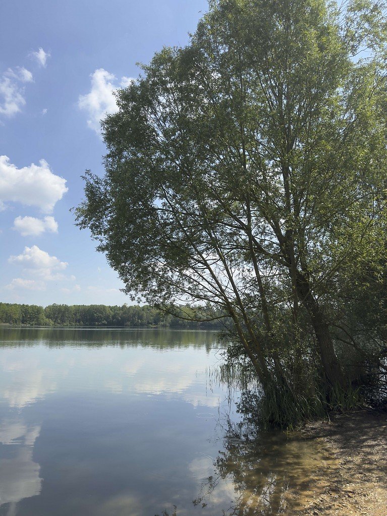 Peringsmaar Bedburg