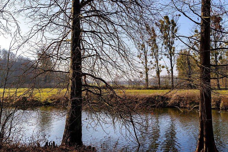 Schlosspark-zu-vermieten