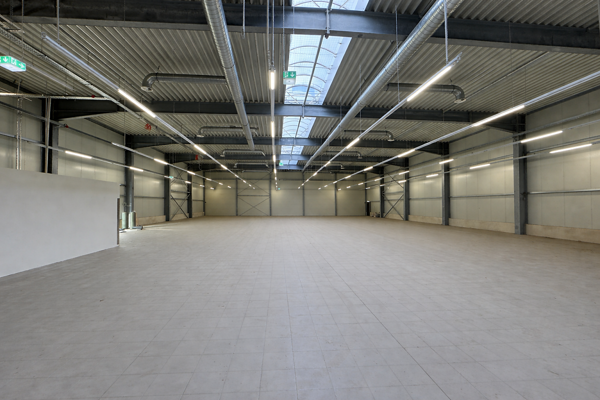 halle verbrauchermarkt mieten