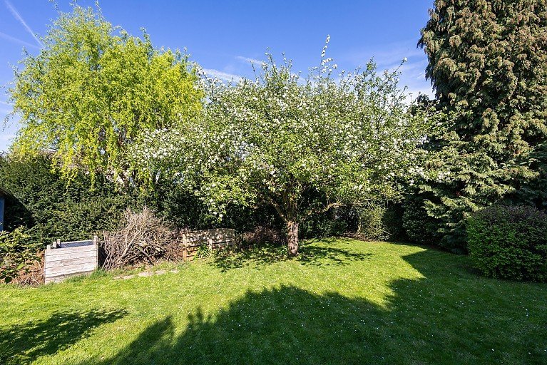 Garten eines Hauses in Grevenbroich-Orken